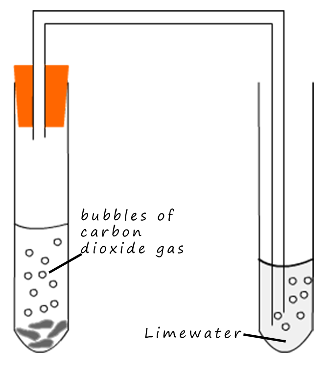 Testing For Gases